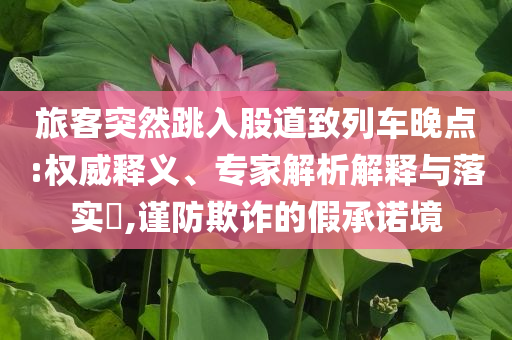 旅客突然跳入股道致列車晚點(diǎn):權(quán)威釋義、專家解析解釋與落實(shí)?,謹(jǐn)防欺詐的假承諾境