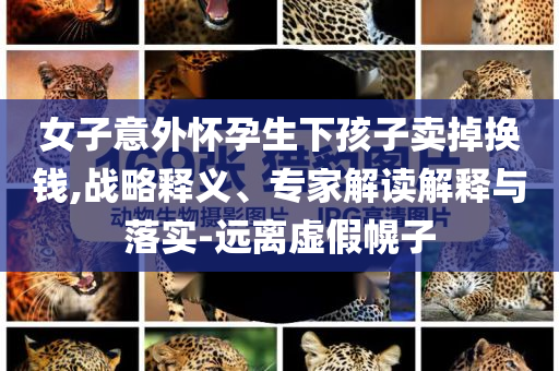 女子意外懷孕生下孩子賣掉換錢,戰(zhàn)略釋義、專家解讀解釋與落實-遠離虛假幌子