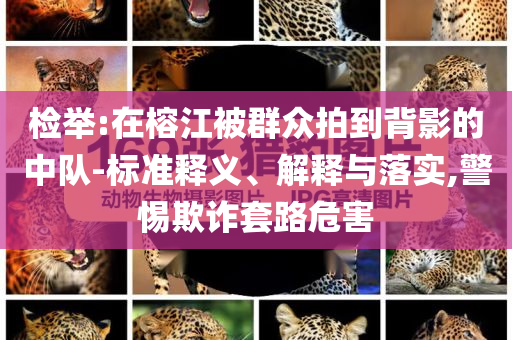 檢舉:在榕江被群眾拍到背影的中隊(duì)-標(biāo)準(zhǔn)釋義、解釋與落實(shí),警惕欺詐套路危害