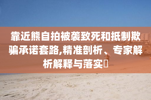 靠近熊自拍被襲致死和抵制欺騙承諾套路,精準(zhǔn)剖析、專家解析解釋與落實(shí)?