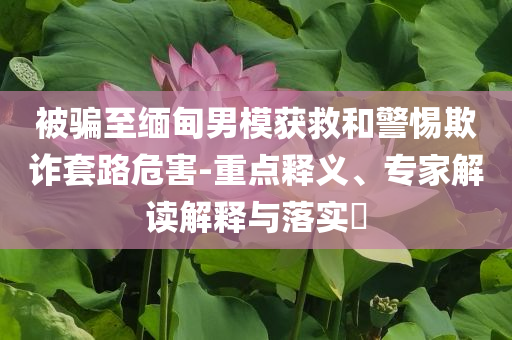 被騙至緬甸男模獲救和警惕欺詐套路危害-重點(diǎn)釋義、專家解讀解釋與落實(shí)?