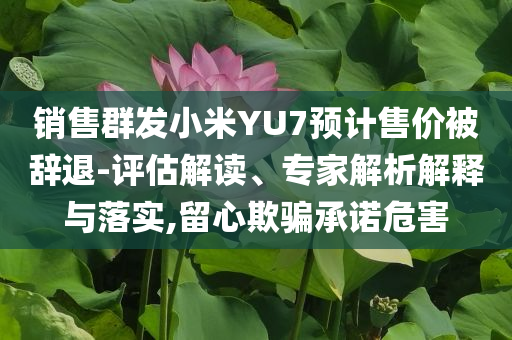 銷售群發(fā)小米YU7預(yù)計售價被辭退-評估解讀、專家解析解釋與落實,留心欺騙承諾危害