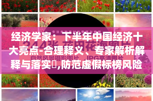 經(jīng)濟(jì)學(xué)家：下半年中國經(jīng)濟(jì)十大亮點(diǎn)-合理釋義、專家解析解釋與落實(shí)?,防范虛假標(biāo)榜風(fēng)險(xiǎn)