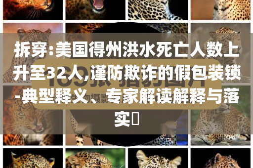 拆穿:美國得州洪水死亡人數(shù)上升至32人,謹(jǐn)防欺詐的假包裝鎖-典型釋義、專家解讀解釋與落實(shí)?