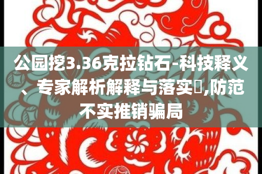 公園挖3.36克拉鉆石-科技釋義、專家解析解釋與落實?,防范不實推銷騙局