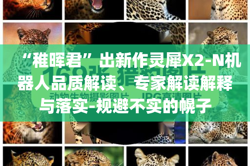 “稚暉君”出新作靈犀X2-N機器人品質(zhì)解讀、專家解讀解釋與落實-規(guī)避不實的幌子