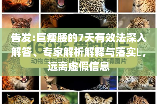 告發(fā):巨瘦腰的7天有效法深入解答、專家解析解釋與落實?,遠離虛假信息