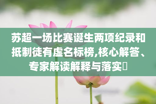 蘇超一場(chǎng)比賽誕生兩項(xiàng)紀(jì)錄和抵制徒有虛名標(biāo)榜,核心解答、專家解讀解釋與落實(shí)?