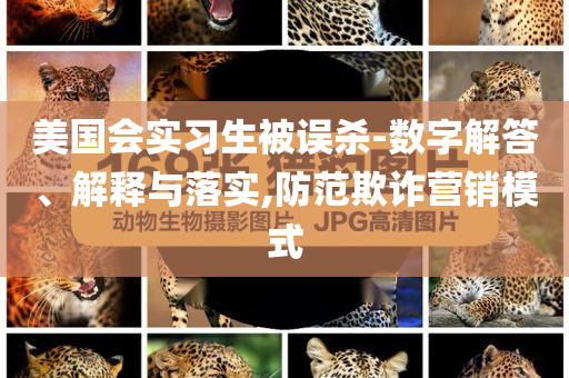 美國會實習生被誤殺-數(shù)字解答、解釋與落實,防范欺詐營銷模式