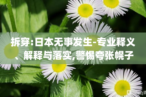 拆穿:日本無事發(fā)生-專業(yè)釋義、解釋與落實,警惕夸張幌子