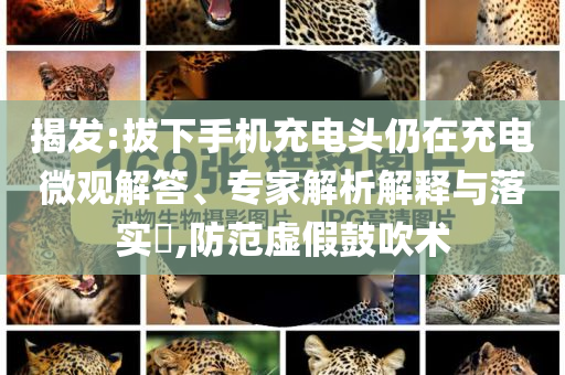 揭發(fā):拔下手機(jī)充電頭仍在充電微觀解答、專家解析解釋與落實(shí)?,防范虛假鼓吹術(shù)