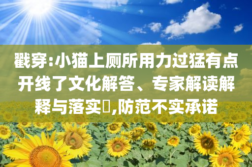 戳穿:小貓上廁所用力過猛有點開線了文化解答、專家解讀解釋與落實?,防范不實承諾