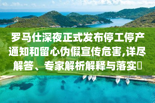 羅馬仕深夜正式發(fā)布停工停產(chǎn)通知和留心偽假宣傳危害,詳盡解答、專家解析解釋與落實?