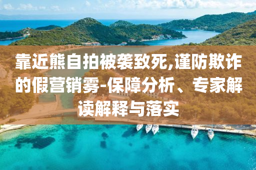 靠近熊自拍被襲致死,謹(jǐn)防欺詐的假營(yíng)銷(xiāo)霧-保障分析、專(zhuān)家解讀解釋與落實(shí)