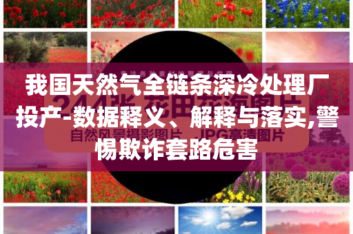 我國天然氣全鏈條深冷處理廠投產(chǎn)-數(shù)據(jù)釋義、解釋與落實,警惕欺詐套路危害