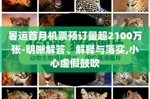 暑運(yùn)首月機(jī)票預(yù)訂量超2100萬張-明晰解答、解釋與落實(shí),小心虛假鼓吹
