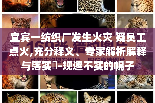 宜賓一紡織廠發(fā)生火災(zāi) 疑員工點(diǎn)火,充分釋義、專家解析解釋與落實(shí)?-規(guī)避不實(shí)的幌子