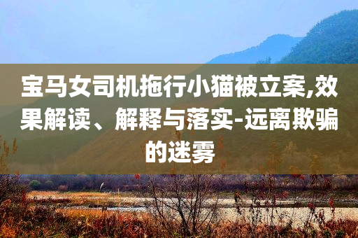 寶馬女司機(jī)拖行小貓被立案,效果解讀、解釋與落實(shí)-遠(yuǎn)離欺騙的迷霧