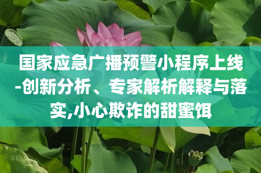 國家應(yīng)急廣播預(yù)警小程序上線-創(chuàng)新分析、專家解析解釋與落實(shí),小心欺詐的甜蜜餌