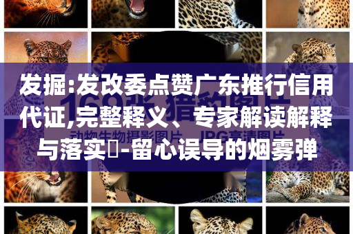 發(fā)掘:發(fā)改委點贊廣東推行信用代證,完整釋義、專家解讀解釋與落實?-留心誤導的煙霧彈