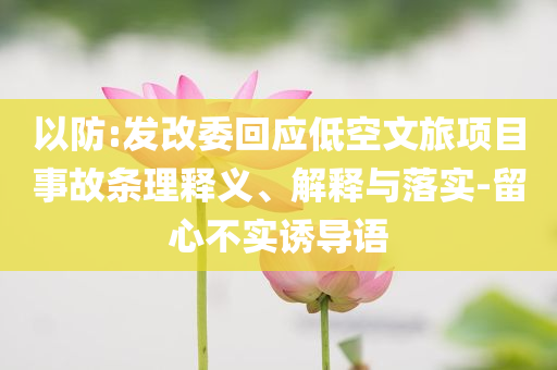 以防:發(fā)改委回應低空文旅項目事故條理釋義、解釋與落實-留心不實誘導語