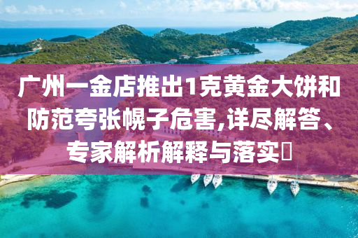 廣州一金店推出1克黃金大餅和防范夸張幌子危害,詳盡解答、專(zhuān)家解析解釋與落實(shí)?