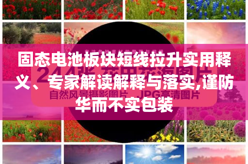 固態(tài)電池板塊短線拉升實(shí)用釋義、專(zhuān)家解讀解釋與落實(shí),謹(jǐn)防華而不實(shí)包裝