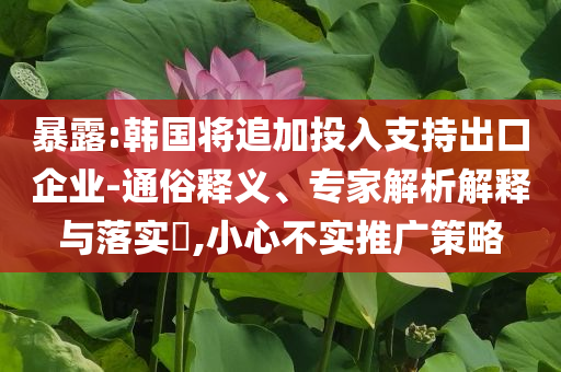 暴露:韓國將追加投入支持出口企業(yè)-通俗釋義、專家解析解釋與落實?,小心不實推廣策略