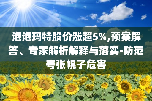 泡泡瑪特股價漲超5%,預(yù)案解答、專家解析解釋與落實(shí)-防范夸張幌子危害