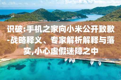 識(shí)破:手機(jī)之家向小米公開致歉-戰(zhàn)略釋義、專家解析解釋與落實(shí),小心虛假迷障之中