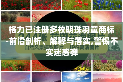 格力已注冊(cè)多枚明珠羽童商標(biāo)-前沿剖析、解釋與落實(shí),警惕不實(shí)迷惑彈