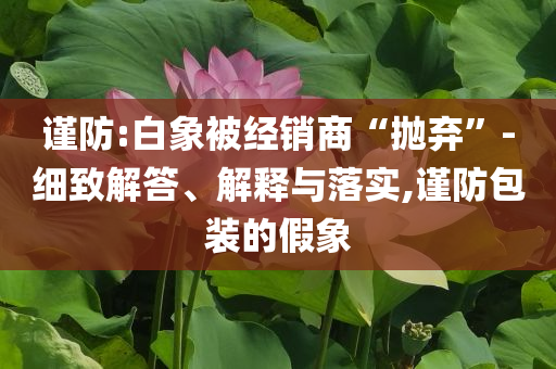 謹防:白象被經(jīng)銷商“拋棄”-細致解答、解釋與落實,謹防包裝的假象