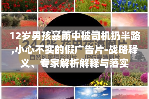 12歲男孩暴雨中被司機(jī)扔半路,小心不實(shí)的假?gòu)V告片-戰(zhàn)略釋義、專家解析解釋與落實(shí)