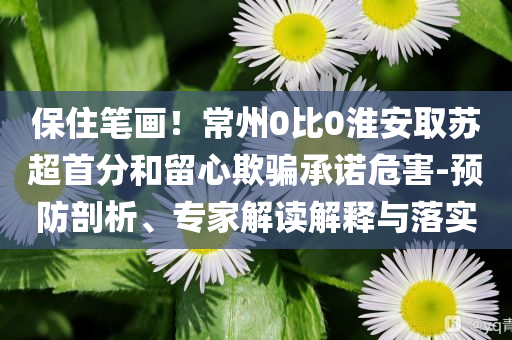 保住筆畫！常州0比0淮安取蘇超首分和留心欺騙承諾危害-預(yù)防剖析、專家解讀解釋與落實