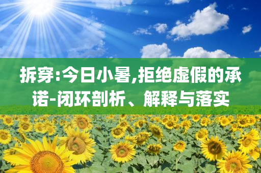 拆穿:今日小暑,拒絕虛假的承諾-閉環(huán)剖析、解釋與落實