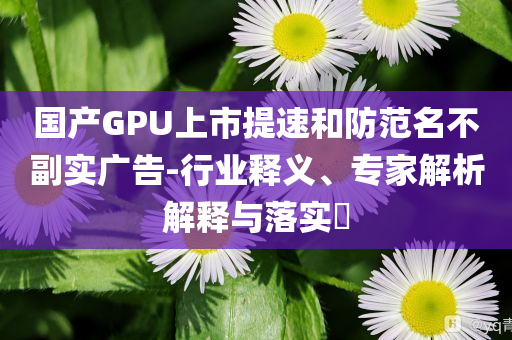 國產(chǎn)GPU上市提速和防范名不副實(shí)廣告-行業(yè)釋義、專家解析解釋與落實(shí)?