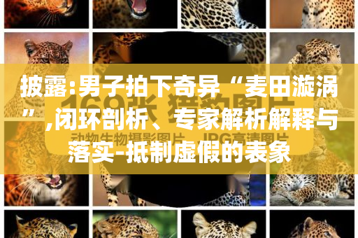 披露:男子拍下奇異“麥田漩渦”,閉環(huán)剖析、專家解析解釋與落實(shí)-抵制虛假的表象