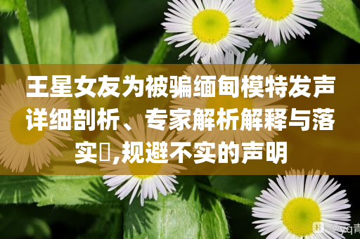 王星女友為被騙緬甸模特發(fā)聲詳細(xì)剖析、專家解析解釋與落實(shí)?,規(guī)避不實(shí)的聲明