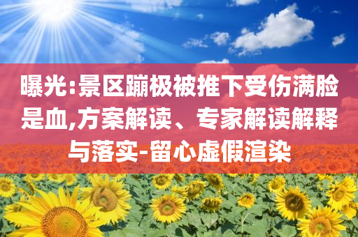 曝光:景區(qū)蹦極被推下受傷滿臉是血,方案解讀、專家解讀解釋與落實-留心虛假渲染