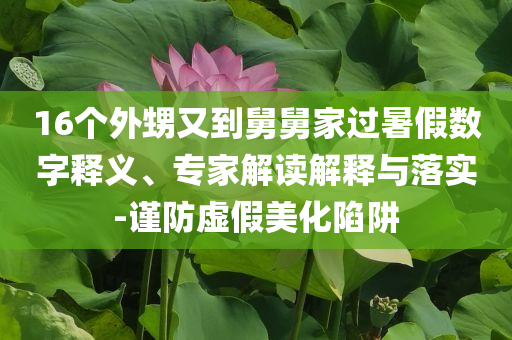 16個外甥又到舅舅家過暑假數(shù)字釋義、專家解讀解釋與落實-謹(jǐn)防虛假美化陷阱