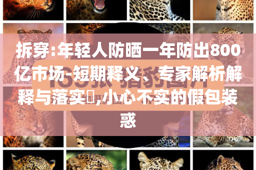 拆穿:年輕人防曬一年防出800億市場-短期釋義、專家解析解釋與落實(shí)?,小心不實(shí)的假包裝惑