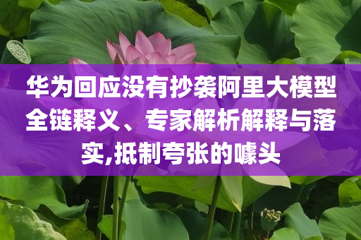 華為回應(yīng)沒有抄襲阿里大模型全鏈釋義、專家解析解釋與落實(shí),抵制夸張的噱頭