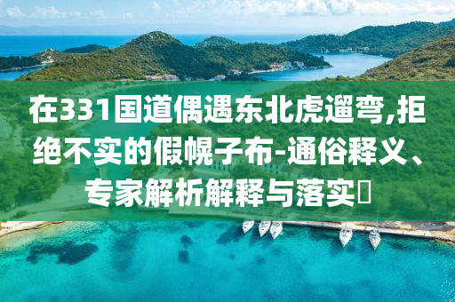 在331國(guó)道偶遇東北虎遛彎,拒絕不實(shí)的假幌子布-通俗釋義、專家解析解釋與落實(shí)?