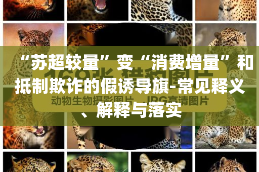 “蘇超較量”變“消費增量”和抵制欺詐的假誘導旗-常見釋義、解釋與落實