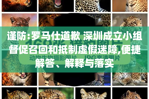 謹(jǐn)防:羅馬仕道歉 深圳成立小組督促召回和抵制虛假迷障,便捷解答、解釋與落實(shí)