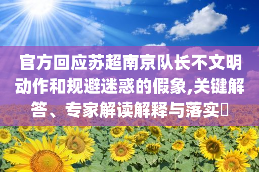 官方回應(yīng)蘇超南京隊(duì)長(zhǎng)不文明動(dòng)作和規(guī)避迷惑的假象,關(guān)鍵解答、專家解讀解釋與落實(shí)?