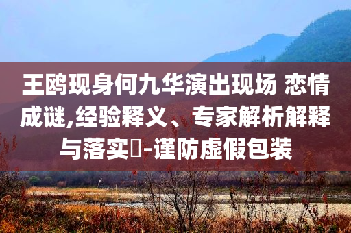 王鷗現(xiàn)身何九華演出現(xiàn)場 戀情成謎,經(jīng)驗釋義、專家解析解釋與落實?-謹防虛假包裝