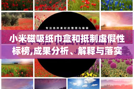 小米磁吸紙巾盒和抵制虛假性標(biāo)榜,成果分析、解釋與落實(shí)