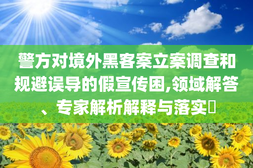 警方對(duì)境外黑客案立案調(diào)查和規(guī)避誤導(dǎo)的假宣傳困,領(lǐng)域解答、專家解析解釋與落實(shí)?