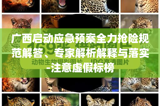 廣西啟動(dòng)應(yīng)急預(yù)案全力搶險(xiǎn)規(guī)范解答、專家解析解釋與落實(shí)-注意虛假標(biāo)榜
